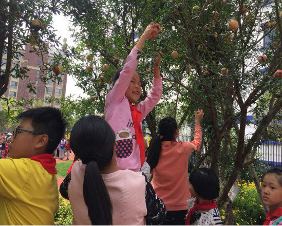 QQ图片20180930140239.png