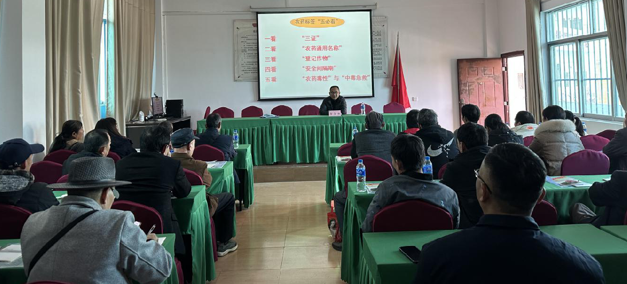 截图_选择区域_20250126125248.png