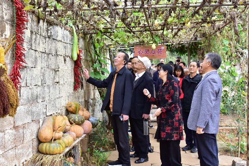 DSC_7119_副本.png DSC_7119_副本.png